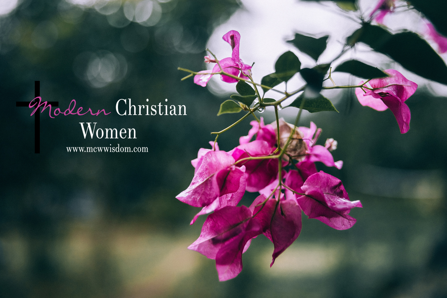 modern christian women of color blog